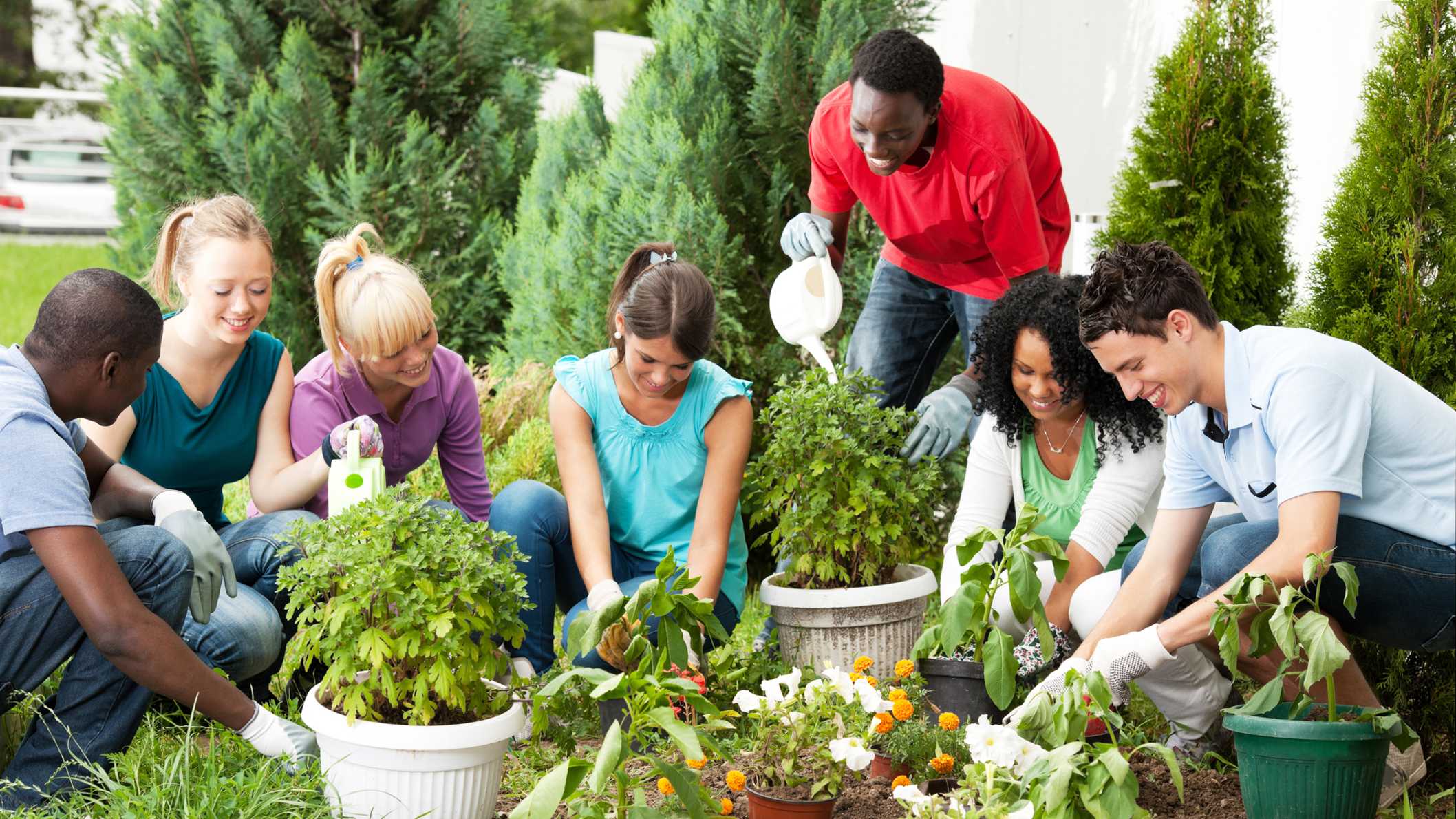 HOME GARDENING - SOCIAL GROUP